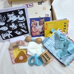 100% Complete Lovevery The Charmer Play Kit